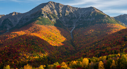 Obraz premium beautiful landscape of autumn in mountain view.