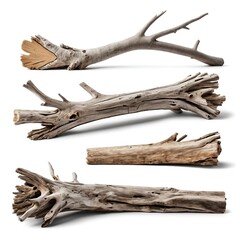 Fototapeta premium Collection of Driftwood Branches and Logs Isolated on White