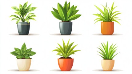 Fototapeta premium Six potted plants, indoor greenery, home decor, white background, website design