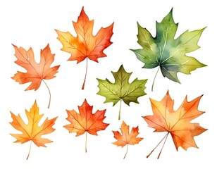 Watercolor Autumn Maple Leaves Collection
