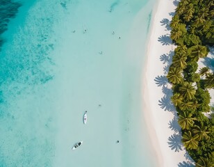 Aerial View of Tropical Beach with Paddleboarders