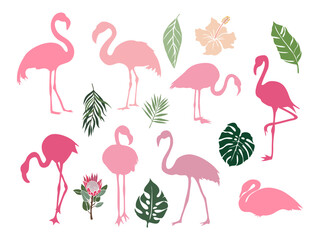 Set of flamingo birds and tropical leaves and flowers flat colorful vector illustrations isolated on transparent background