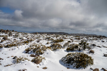 kunanyi mt wellington covered in snow and ice above hobart