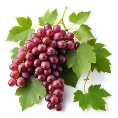 Fototapeta premium Fresh Red Grapes with Green Leaves