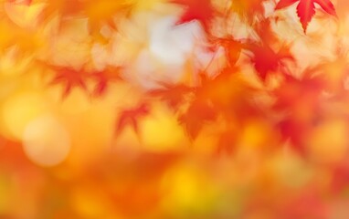 Beautiful autumn leaves displaying vibrant red and orange hues in a blurred forest setting during fall season