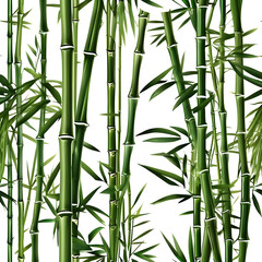 Realistic Bamboo Bush Vector