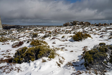 kunanyi mt wellington covered in snow and ice above hobart