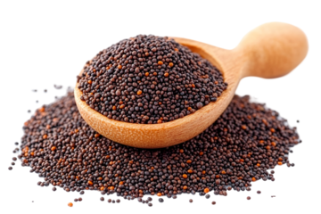 black  Mustard Seeds Isolated on white background