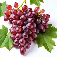 Fototapeta premium Fresh Red Grapes with Green Leaves