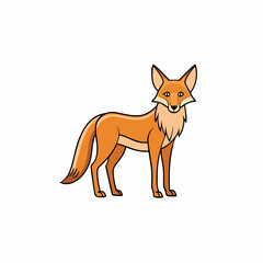 coyote cartoon isolated on white