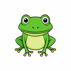 frog cartoon on white background