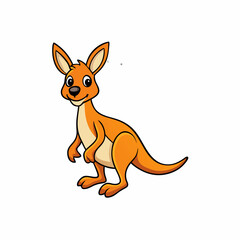 kangaroo isolated on white