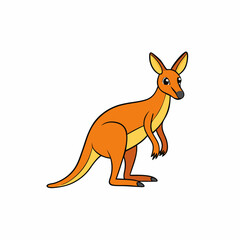 kangaroo isolated on white