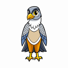 peregrine falcon bird