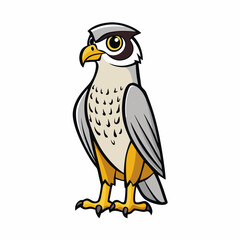 peregrine falcon bird