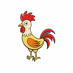 rooster isolated on white background
