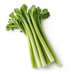 Obraz premium Fresh Celery Stalks Isolated on White Background