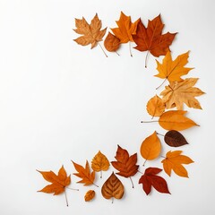 Autumn Leaves Frame on White Background