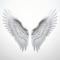 Fototapeta premium White Angel Wings