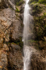 Obraz premium waterfall in the forest