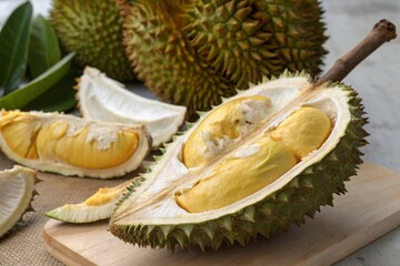 Fototapeta premium Cutting open a durian to reveal its golden creamy interior in a kitchen setting for food enthusiasts