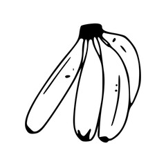 vector illustration of a banana