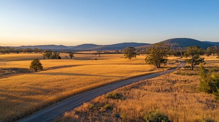 Obraz premium Golden Sunrise Country Road