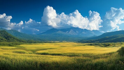Obraz premium The agricultural landscape is framed by distant mountain peaks, where ripe yellow melons are ripening under the warm glow of bright sunlight