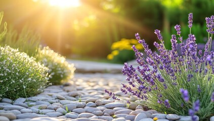 Obraz premium Sunlit garden path with lavender and white flowers.