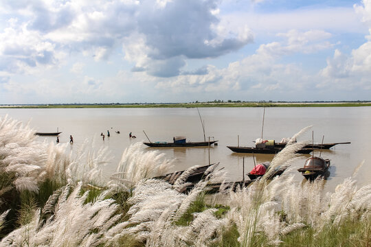 Rural life of Bangladesh, Kashful. 