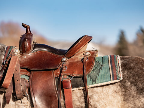 Close-up of a western leather saddle on a horse with colorful blanket