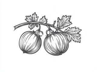 A cluster of gooseberries surrounded by leaves is depicted in a detailed, vintage-style botanical line art illustration, featuring a natural fruit design and created using generative AI as a raster
