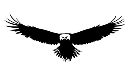 Eagle on white background, bird, eagle, silhouette, vector, flying, illustration, animal, wing, wings, dove, black, art, tattoo, fly, feather, nature, symbol, crow, flight, hawk, design, falcon, pigeo
