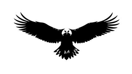 Eagle on white background, bird, eagle, silhouette, vector, flying, illustration, animal, wing, wings, dove, black, art, tattoo, fly, feather, nature, symbol, crow, flight, hawk, design, falcon, pigeo