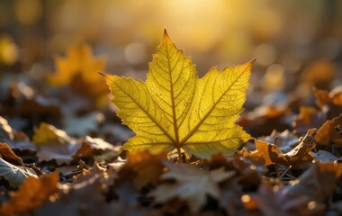 A close-up of a dry autumn leaf with vibrant green colors and sunlight shining through