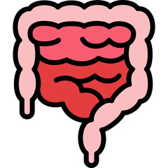 large intestine icon