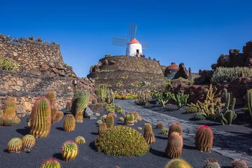 Photo sur Plexiglas View to the Jardín de Cactus.
