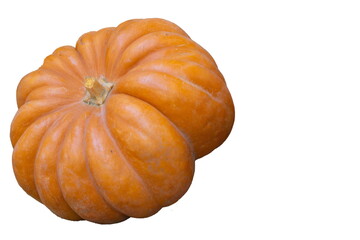 Isolated pumpkin on white background