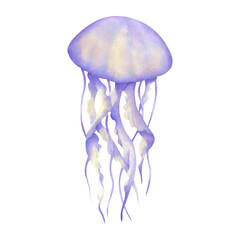 Tropical lilac yellow jellyfish. Kids watercolor isolated illustration. Sketch of underwater medusa. Hand drawn undersea ocean animal for baby shower, nautical and marine designs.