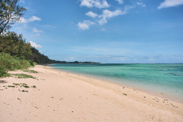 Wild tropical beach with coconut trees and other vegetation, white sand beach, Mauritius island, Africa