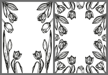 Tulip flowers frame sketch outline illustration banner background set. Tulip flower spring botanical doodle drawing in engraving style. Hand drawn vector line art clipart