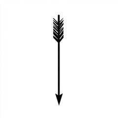 "Black and White Arrow Illustration with Detailed Feathered Fletching – Vertical Design with Downward Pointing Arrowhead"