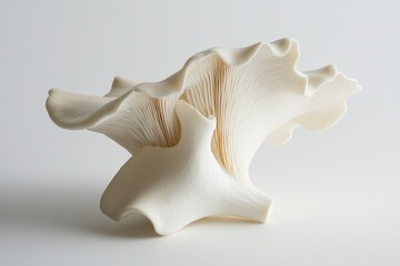 Elegant pristine oyster mushroom detailed texture on bright white backdrop culinary ingredient close up photo