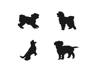 Minimalist hand drawn Maltipoo illustration. Four dog silhouettes in various poses. Maltipoo silhouette in black. Vector illustration isolated on a white background.