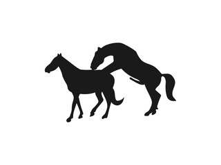 Horse mating silhouette Wildlife Silhouette. Animals in Mating Positions. Three simple black silhouettes of horses engaging in mating postures are vector on a white background.