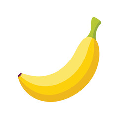 Fresh yellow banana vector with white background