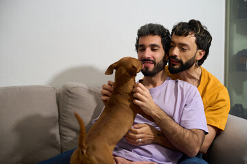 Gay couple playing with dog on sofa at home