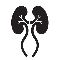 kidney vector