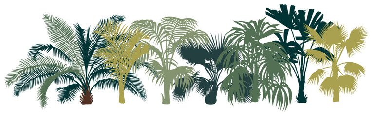 A border of palm trees are shown in various sizes and positions isolated on transparent background. The trees are all green and have long, thin leaves. Concept of tropical paradise and relaxation.