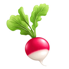radish cartoon isolated on white background full depth of field 